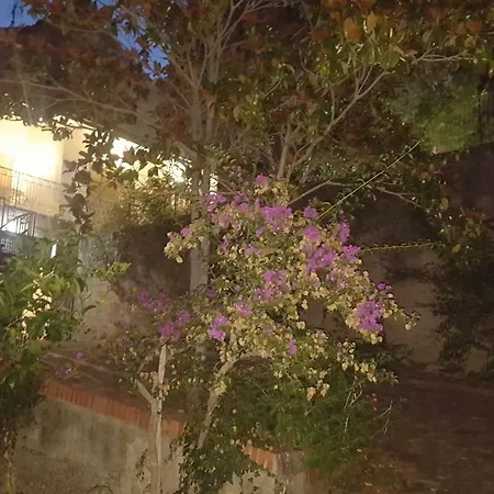 Casa Carlotta Pioppi